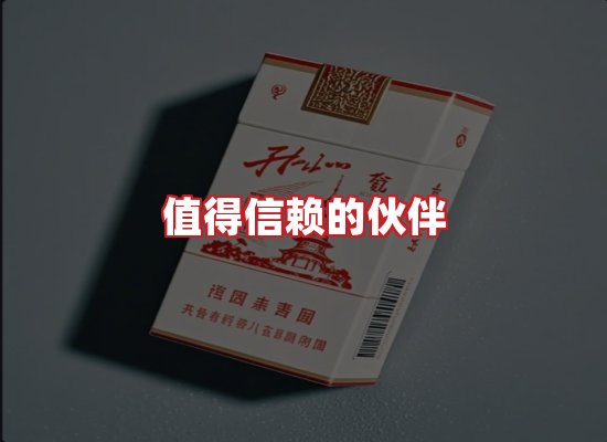 专业团队
